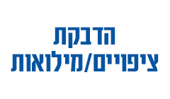 הדבקת ציפויים מילואות