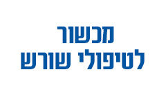 מכשור לטיפולי שורש