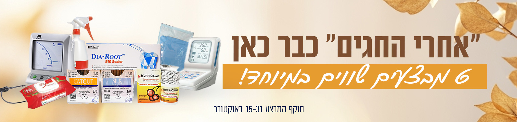 אחרי החגים דסקטופ
